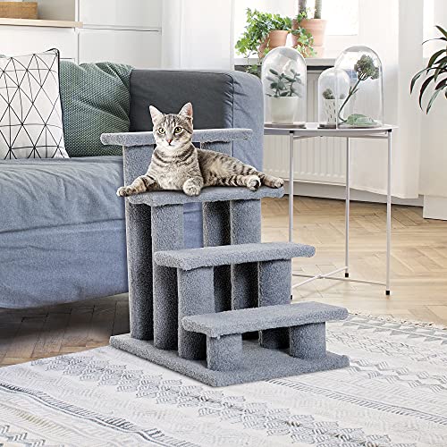 https://m.media-amazon.com/images/I/51dSWkSCwqL._SL500_.jpg