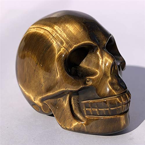 Anlingem 1pc 2" Crystal Skull Natural Quartz Skull Gemstone Carved Skull Stone Pocket Statue Healing Energy Reiki Gemstone Collectible Figurine (Tiger Eye Jasper Skull) AL-TEJS