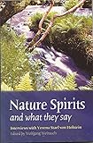 Nature Spirits and What They Say: Interviews with Verena Holstein