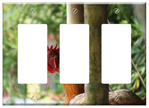 Switch Plate Triple RockerGFCI - Birds The Field India Quindio Colombia