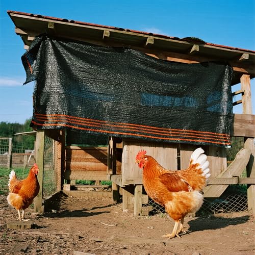 Image of winemana 70% Shade Cloth for Garden- 4x10 FT Breathable Mesh Tarp for Vegetables & Plants, Outdoor Patio Sun Shade with Grommets - Chicken Coop, Dog Kennel Cover