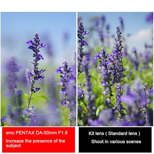 Pentax smc DA 50mm F1.8 SLR Objectif standard Neuf - vue 7