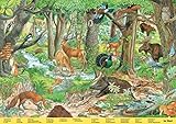 Mein großes Wimmelbuch Tiere. Liebevoll illustriert von Anne Suess: Verschiedene Tiere auf der ganzen Welt im Bilderbuch finden und kennenlernen. Für Kinder ab 3 Jahren (Wimmelbücher)