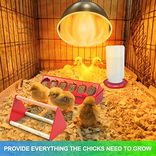 10-In-1 Chick Starter Kit, Chick Heat Lamp With Chick Brooder Box, Chick Feeder And Waterer Set, Chick Stand Perch, #TOP1