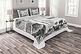 Ambesonne Zambia Bedspread Set Queen Size, Monochrome Pencil Sketch of Victoria Falls Zambezi, 3 Piece Decorative Quilted Coverlet with 2 Pillow Shams, Charcoal Grey Pale Taupe Pale Grey and White