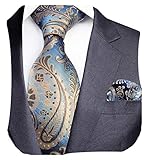 GUSLESON Fashion Paisley Ties for Men Silk Necktie and Pocket Square Set (0751-20)