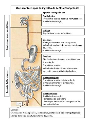 Kit 2 X Zeolita Clinoptilolita Standard 250g pontencializada natural