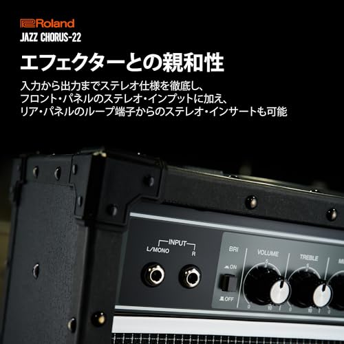 Roland JC-22 ローランド ギターアンプ ジャズコーラス の商品画像 3