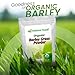 Z Natural Foods Organic Barley Grass Powder - USDA Organic Whole Food Green Blend for Energy Boost, Detox & pH Balance with Amino Acids, Minerals - Antioxidant Mix for Juice, Water, Smoothies, 1 lb