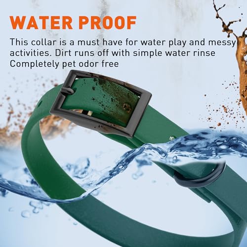 Image of Dogline Biothane Waterproof Dog Collar Strong Coated Nylon Webbing with Black Hardware Odor- Proof for Easy Care Easy to Clean High Performance Fits Small Medium or Large Dogs, Hunter Green