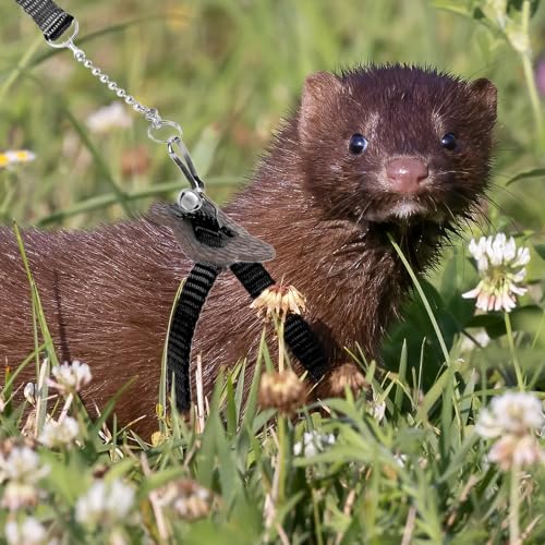 Image of 2 Pack Adjustable Hamster Leash Harness for Harness for Ferret Baby Rabbit Hamster Rat Mouse Leash Lead with Bell (Black)
