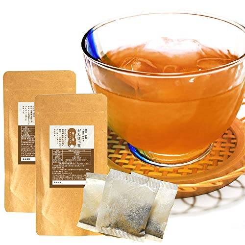 伊勢茶 ほうじ茶ティーバッグ24包(12包×2個) お茶 無農薬 日本茶 三重県産 農薬・肥料不使用栽培