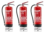 PROTEX – 3 estintori a polvere – Estintore Protex – 6 kg – per le classi di fuoco ABC – Certificato secondo DIN EN 3 e CE – 9,5 kg ciascuno – con pratico supporto – con piastra di prova – Made in EU