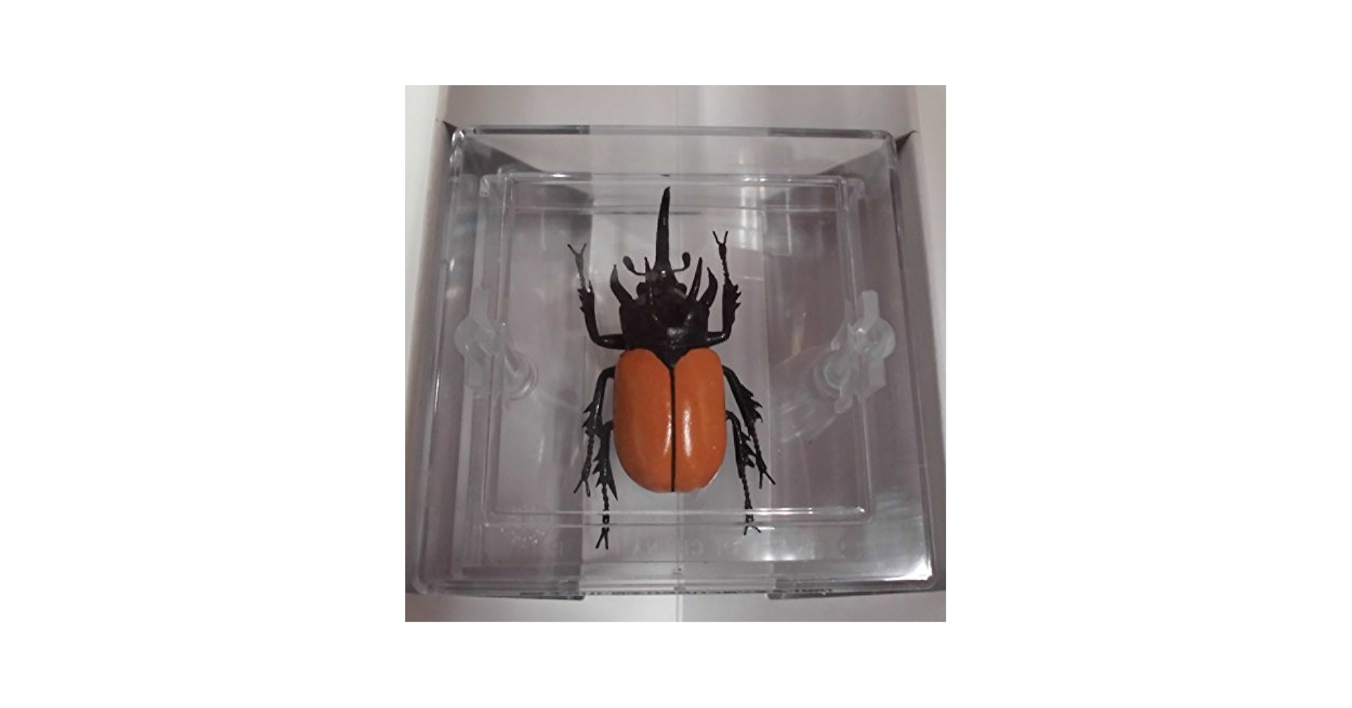 世界の甲虫シリーズ第3弾、タカラ　フィギュアまとめ売りレトロセット Amazon.co.jp: 【昆虫フィギュア ＆ 昆虫下敷き セット商品