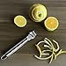 1Easylife Stainless Steel Lemon Zester Grater with Channel Knife and Hanging Loop