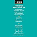 TE-A-ME Green Tea Bags 25 pcs - Mint Lemon Ginger| Ginger, Mint & Lemon Green Tea Bags gallery image