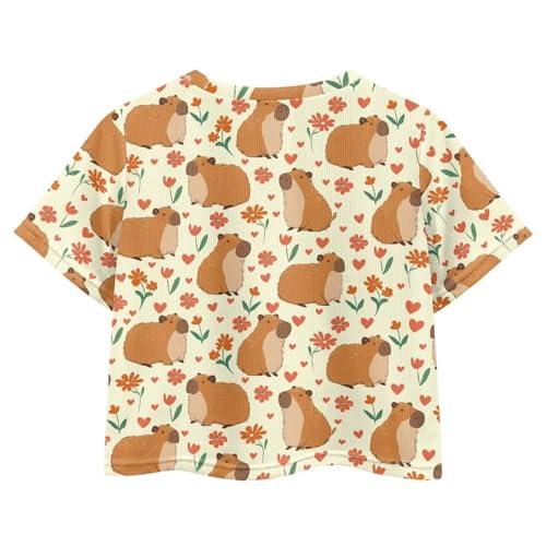 Image of Girls Crop Tees Crew Neck Casual Short Sleeve T Shirts Kids Loose Soft Comfortable Tees Blouses Shirt for Little Girl