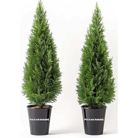 Artificial Topiary 3Ft Cedar Set of 2 Trees, Decorative Pre-Potted Faux Modern Cedar Trees for Stunning Indoor & Outdoor Decor UV, Resistant Evergreen Cedar Shrubs - Pot not included Cover
