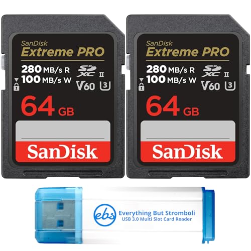 SanDisk   Paquete de 2 tarjetas de memoria SDXC UHS II de 64 GB (SDSDXEP 064G GN4IN) con 1 lector de tarjetas Everything But Stromboli SD
