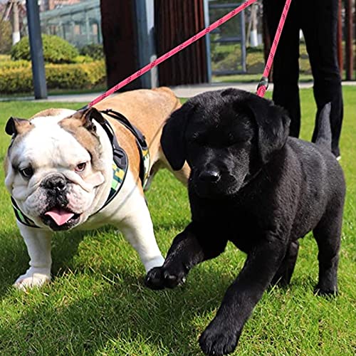 3-in-1 Hundeleine Mit Gepolstertem Griff - 3-Wege-Leine 360° Drehbar Kein Verheddern für 3 Hunde - Haustier Führleine 1.5m für Mittlere Kleine Hunde Mehrere Haustiere