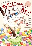 ちたにゃんがきた！てぶくろ仔猫と私たち (ペット宣言)