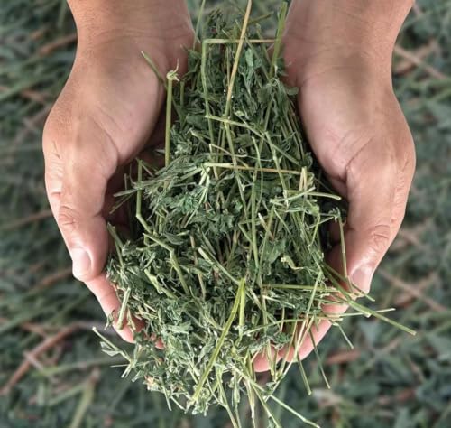 Cremas Y Lociones, Video On Demand Imagen adicional