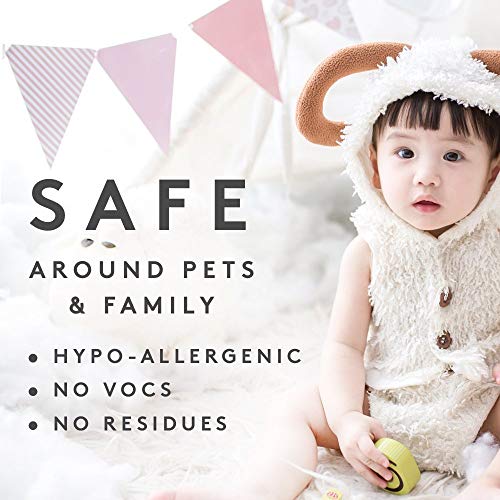 Aera Curiosity Home Fragrance Scent Refill - Notes Of Magnolia, Lotus Flower And Citrus - Works With The Aera Diffuser #TOP7