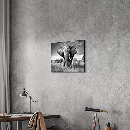 Artistic Path Canvas Wall Art Elephant Picture: African Animals Graphic Artwork Painting Print For Wall Decor (16" W X 12" H,Multi Size) #TOP3