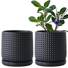 Dvine Dev Set of 2 Ceramic Plants Pots, 6 Inch Beaded Stoneware Flower Pot for Plants with Drainage Hole and Saucer, Ebony Matte, 27-E-X-6