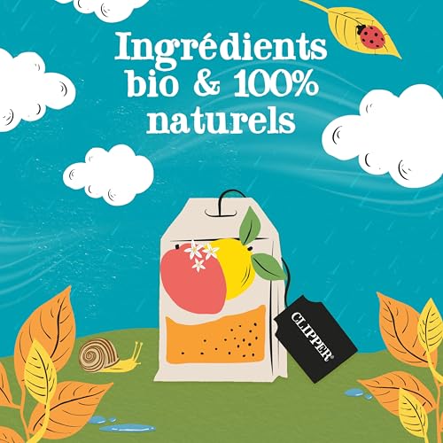 Thé Bio Clipper Mangue 20 sachets - vue 8