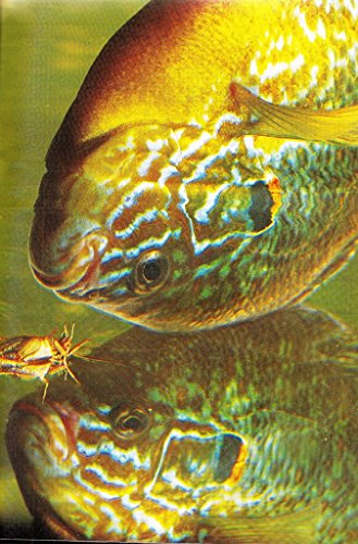Live bait 1581590652 Book Cover