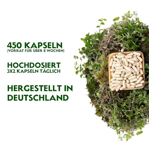 Flohsamenschalen-Kapseln von Rheinnatur – Bio-Qualität mit 3000 mg pro Portion