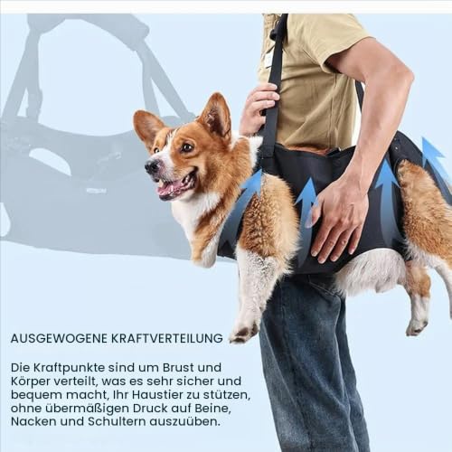Tragehilfe Hund Treppe, Hundeliftgeschirr Mobilitätshilfen Einstellbar - Unterstützung für Mittelgroße Ältere Hunde Mit Schwachen Beinen, Chirurgie Rehabilitation (XL)