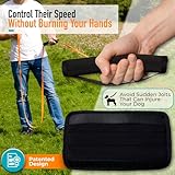 Total Pet Training Lead for Dogs, Waterproof Long Line for Recall & Obedience Training - Extra Long Dog Lead - Suitable for all Sized Dogs (10m, Regular Clip) - Image 3