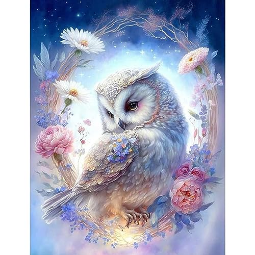 Image of HASTHIP Diamond Painting Kit, 11.8x15.7inch Owl Diamond Painting, 5D Diamond Painting Kit for Adults & Kids, Suitable for Home Leisure and Wall Decoration, Gift for Kids and Adults