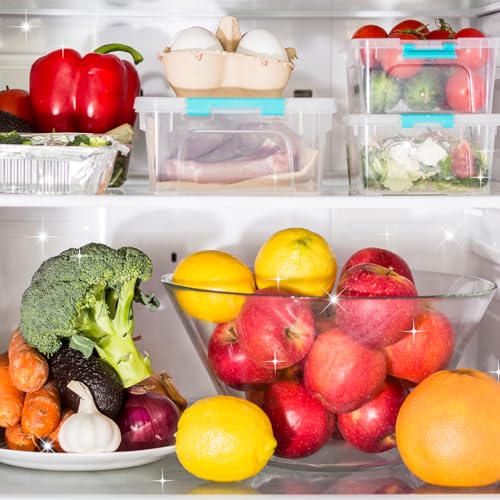 ERRECHOME FrigoNet, Kühl- und Gefrierschränke Abtauspray, 250 ml Flasche