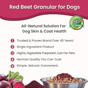 Olewo pink beets for canines granular  pure anti itch for canines canine meals topper immune cleaning pores and skin  coat assist dehydrated complete meals canine multivitamin fiber for canines 22 oz   cucciolini doodles