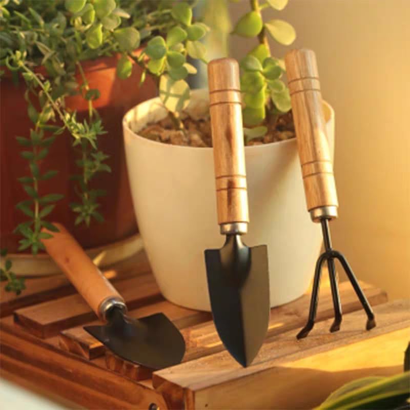 Set Mini Jardinería 3 Piezas Herramientas para Suculentas miniatura 2