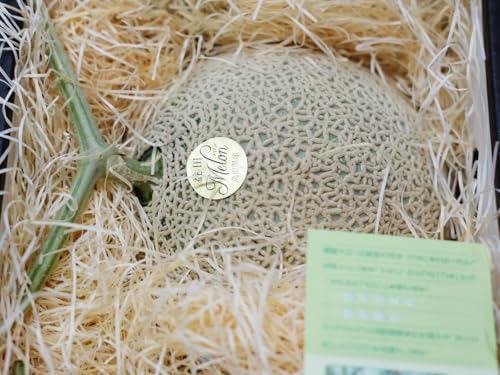 Y A[X G 2L?3LTCY 2ʓ ij Y  Mtg