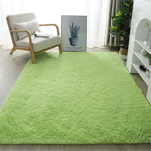 Hiseng Rugs Tapis de Salon Longs, Shaggy Doux et Confortable Tapis de Sol Moelleux Moderne Antidérapant Rugs pour Décoration Intérieure Salon Chambre (40x60cm,Vert Gazon) Cover