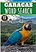 Caracas Word Search: 40 Fun Puzzles With Words Scramble for Adults, Kids and Seniors | More Than 300 Words On Caracas and Venezuelan Cities, Famous ... History Terms and Heritage Vocabulary