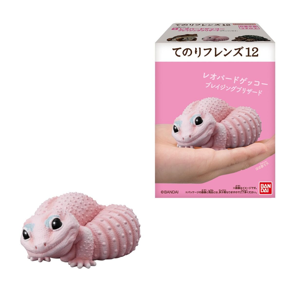 Amazon | てのりフレンズ12 -爬虫類・両生類- 12個入りBOX (食玩) 通販