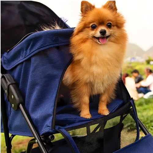Carrinho Transporte Viagem Pet Dobrável Berço Removível Cães Gatos (Azul)