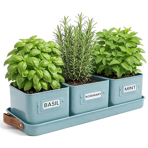 Green Thumbz Macetas Decorativas Interior con Macetero Rectangular con Mangos de Cuero - Macetas y Jardinera Rectangular Ideales para Plantas de Interior - Color Azul