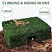 Hollima M Size Green Reptiles Cave Hide, Lizard Moss Hideout with Safe Shelter, Handmade Snake Cave Hut for Themed Terrarium Ideal for Gecko Hamster Snake Rest & Hide