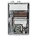 Rheem RTG-95DVLN-1 Water Heaters, Gray