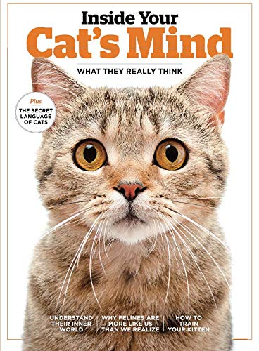 Inside Your Cat's Mind: What They Really Think