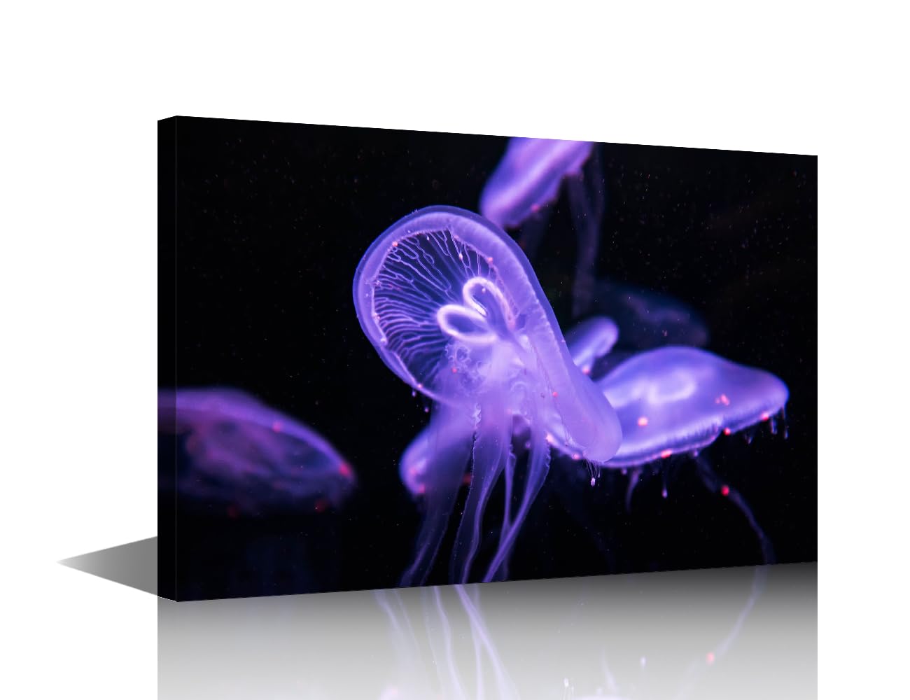 TISHIRON Canvas Art Wall Decor Jellyfish Bedroom Wall Art Pictures for Living Room Medusa Ocean Animals Wall Painting 1 Piece Acaleph Modern Wall Art Stretched and Framed Ready to Hang 18x12in โ image 1