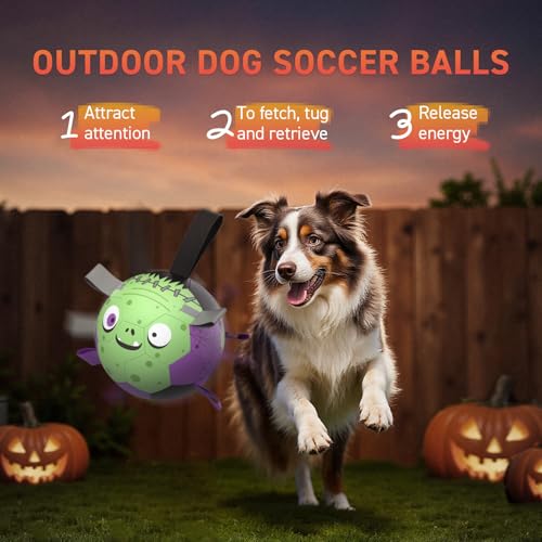 Image of QDAN Halloween Dog Toys, Dog Soccer Balls with Straps, Outdoor Dog Toys | Dog Balls, Herding Balls Toys for Small Medium Dogs, Puppy Pet Birthday Gifts, 6 Inch Purple Green