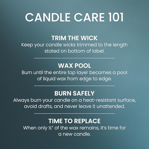 Yankee Candle Large Tumbler Scented Candle with up to 80 Hour Burn Time, Premium Plant Wax Blend for Consistent Burn, 20 oz Tumbler Candle with Room Filling Fragrance, Bayside Cedar by Yankee Candle - Image 5